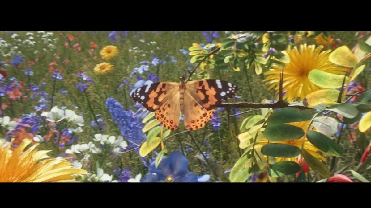 Still from the cinematic camera reel: a butterfly in a CG flower field
